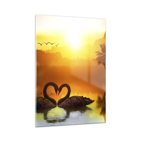 Impression sur verre - Image sur verre - Cygnes noirs sur le lac au coucher du soleil - 50x70cm - Tout va ensemble - Décoration murale moderne pour le salon et la chambre ARTTOR
