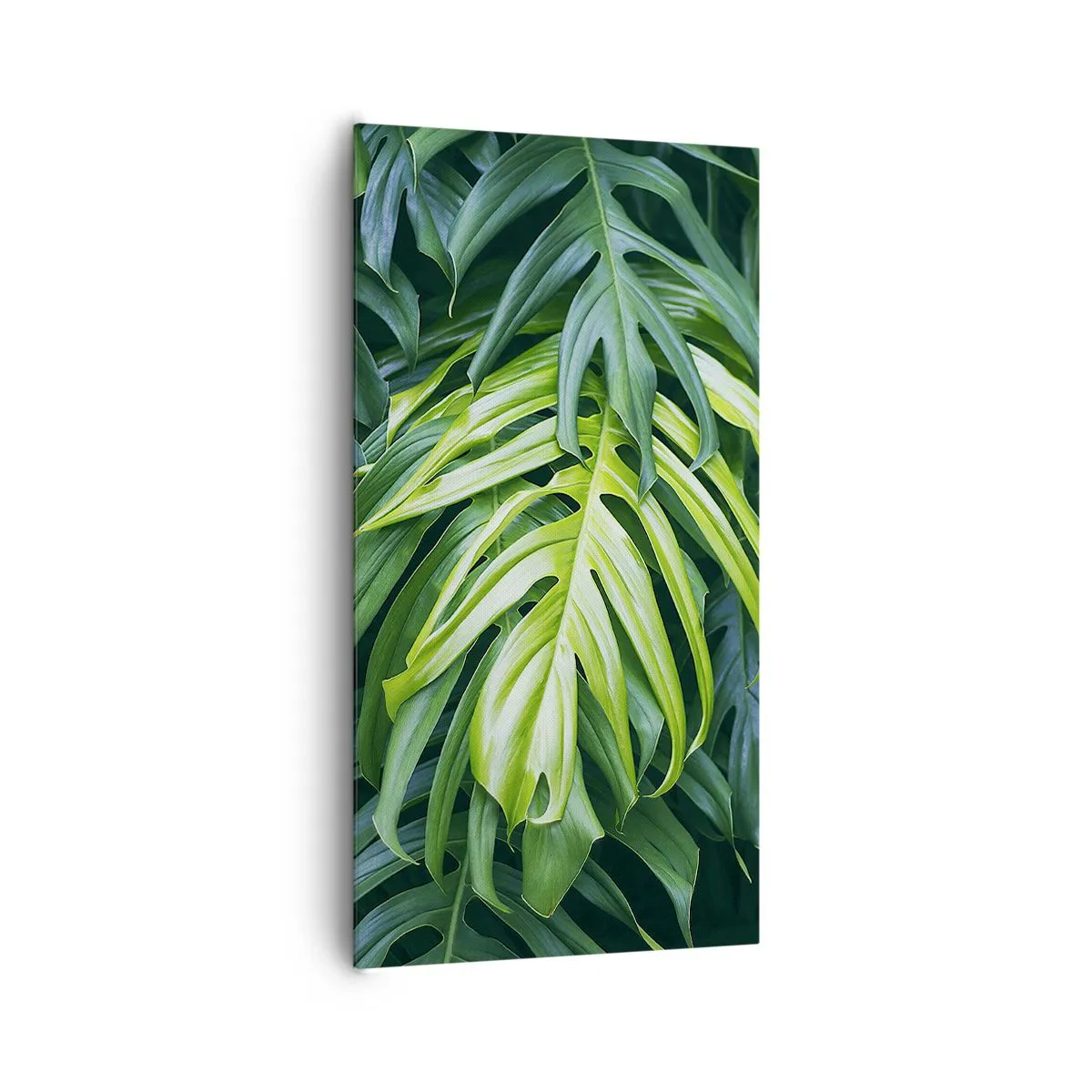 Impression sur toile - Image sur toile - Immergez-vous dans la fraîcheur - 65x120 cm