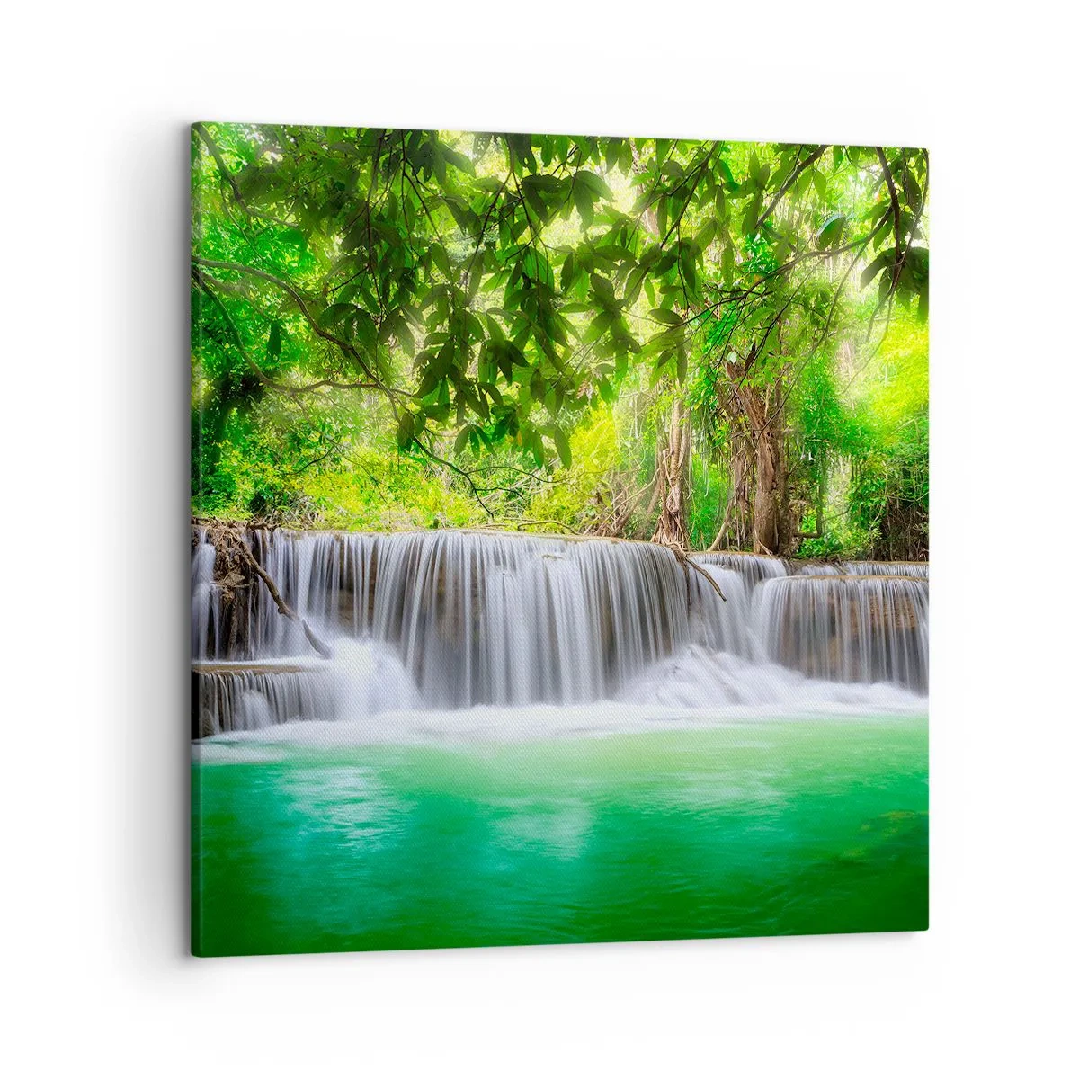 Impression sur toile - Image sur toile - Une cascade de vert - 50x50 cm
