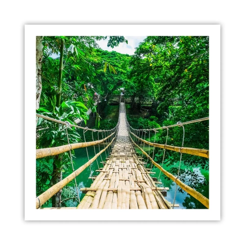 Affiche - Poster - Pont de singe en pleine nature - 60x60 cm