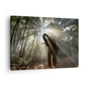 Impression sur toile - Image sur toile - Un éléphant dans la forêt entouré de rayons de lumière dans la brume matinale - 70x50cm - Sous la bonne étoile - Décoration murale moderne pour le salon et la chambre ARTTOR
