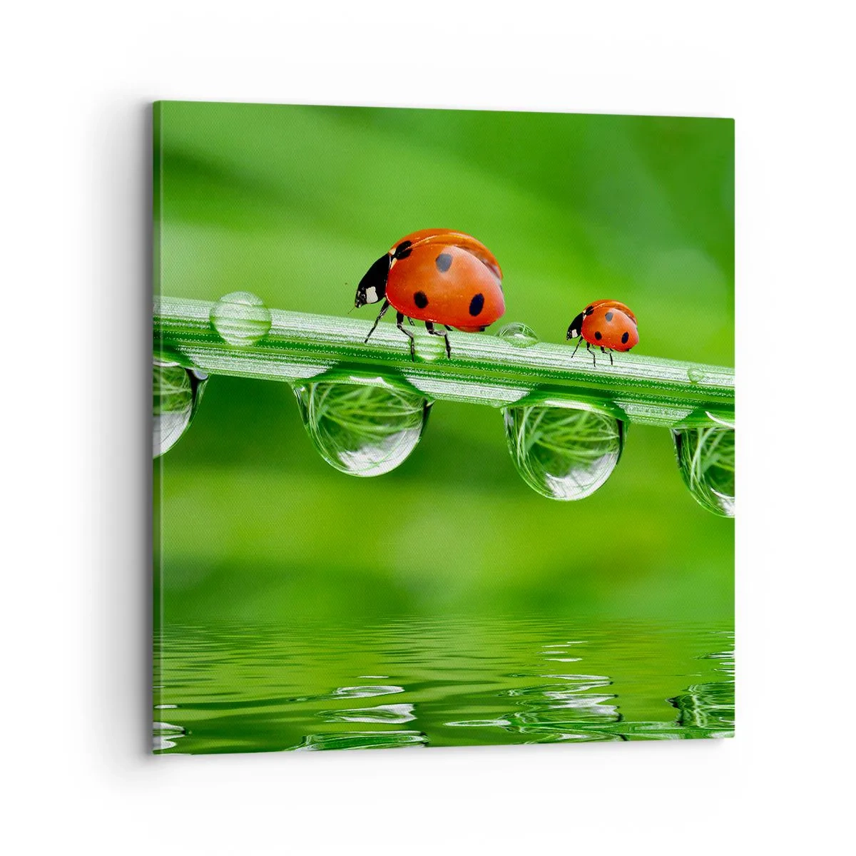 Impression sur toile - Image sur toile - Sur la route tout l'été - 70x70 cm