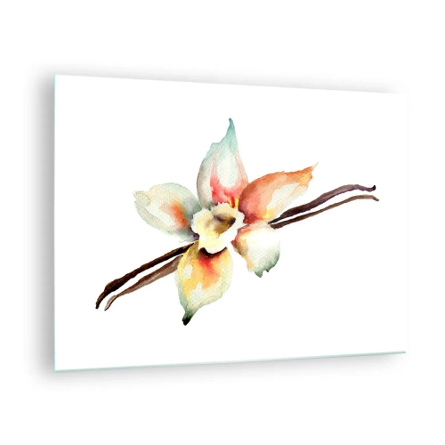Impression sur verre - Image sur verre - Illustration à l'aquarelle d'une fleur de vanille sur fond blanc - 70x50cm - Douceur de couleur renversée - Décoration murale moderne pour le salon et la chambre ARTTOR