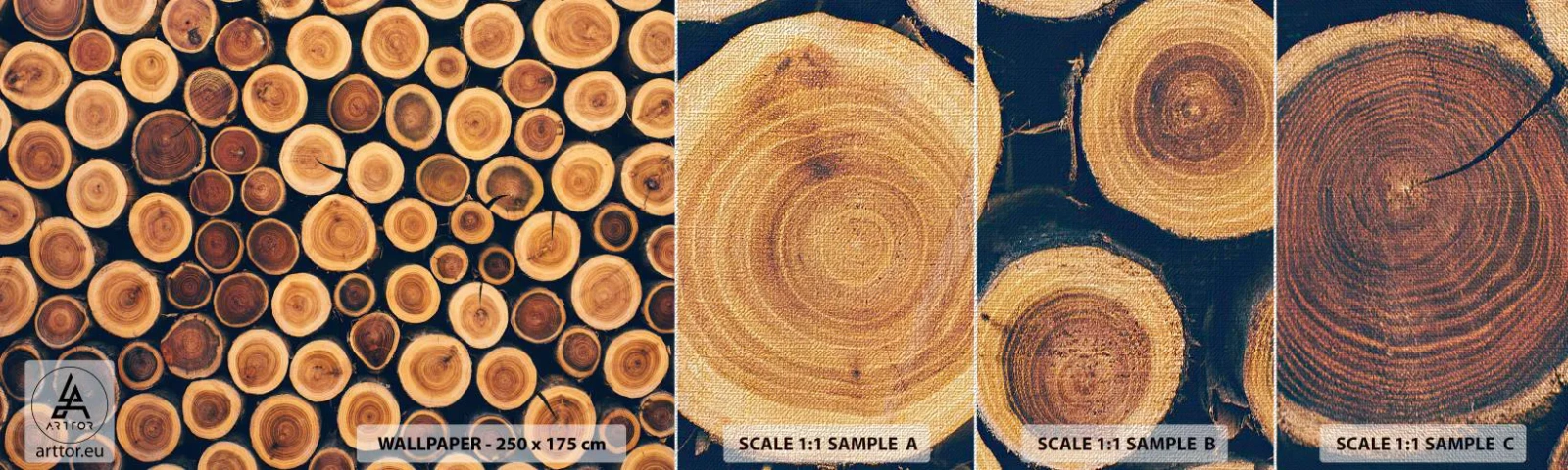 Échantillon de Papier Peint Premium Canvas - Quel âge je semble avoir ? - Tronc d'arbre, Forêt, Morceau - 100x30 cm
