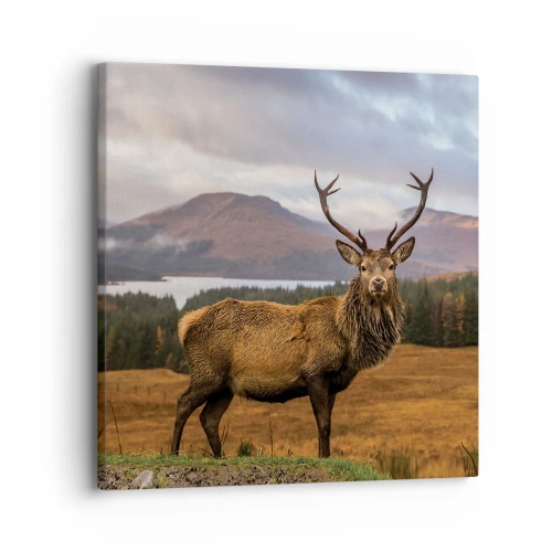Impression sur toile - Image sur toile - Majesté de la nature - 30x30 cm