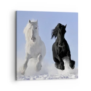 Impression sur toile - Image sur toile - Galop noir et blanc - 70x70 cm