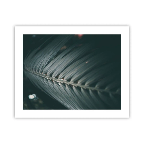 Affiche - Poster - Précision de la nature - 50x40 cm