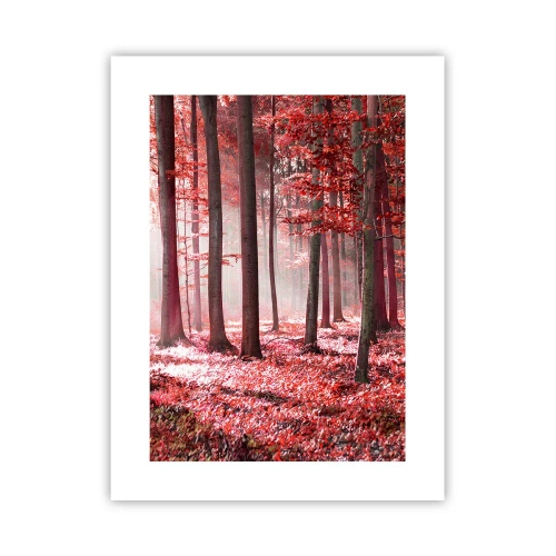 Affiche - Poster - Le rouge est tout aussi beau - 30x40 cm