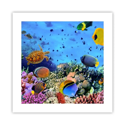 Affiche - Poster - Et que sait-on de la vie… - 40x40 cm