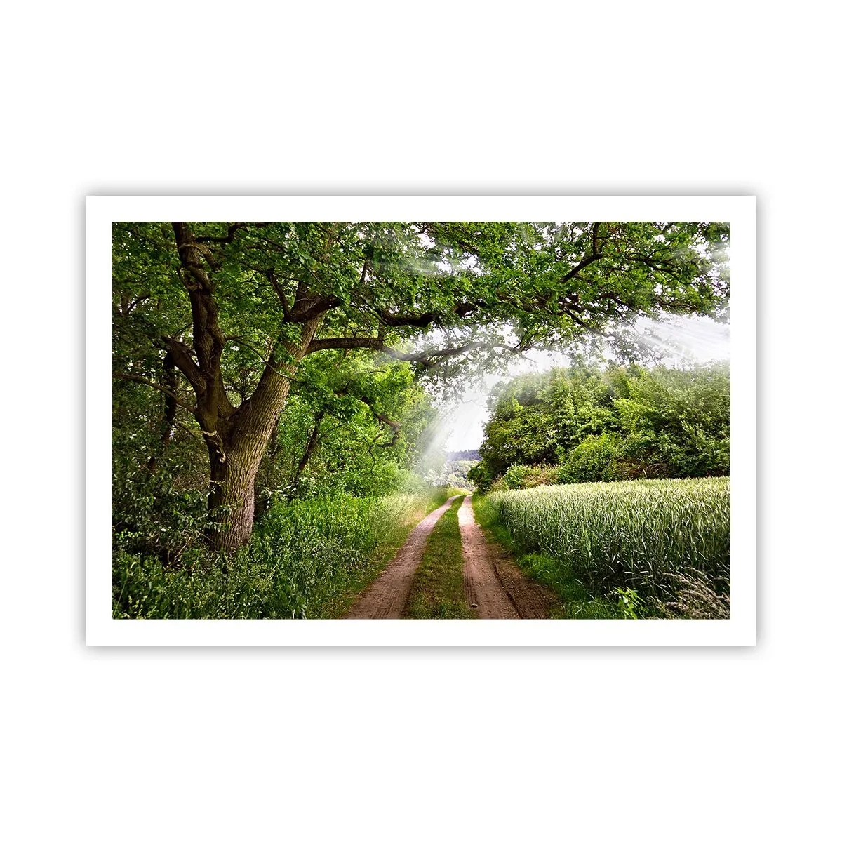 Affiche - Poster - Et in Arcadia ego - 91x61 cm