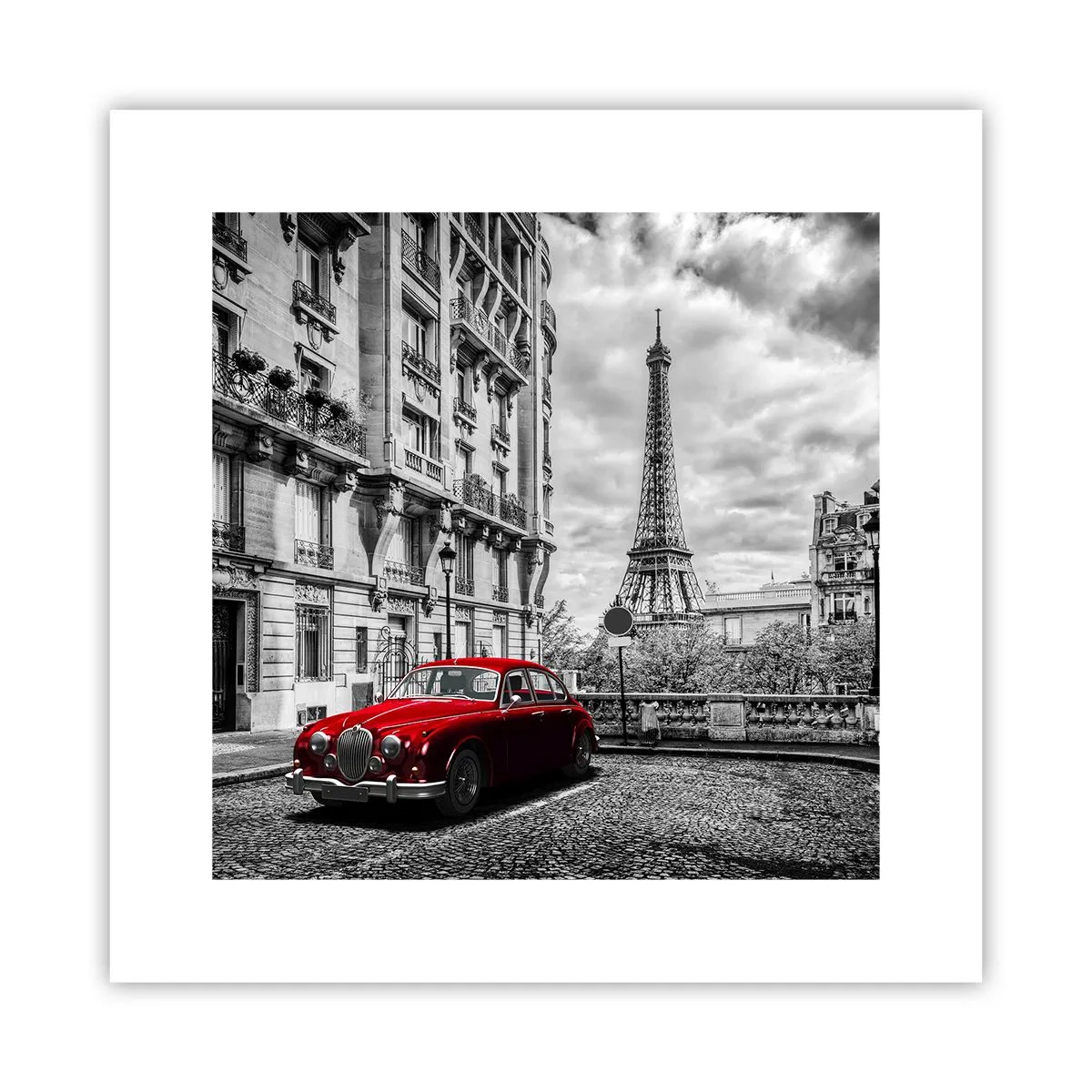 Affiche - Poster - Prédateur dans la ville - 30x30 cm