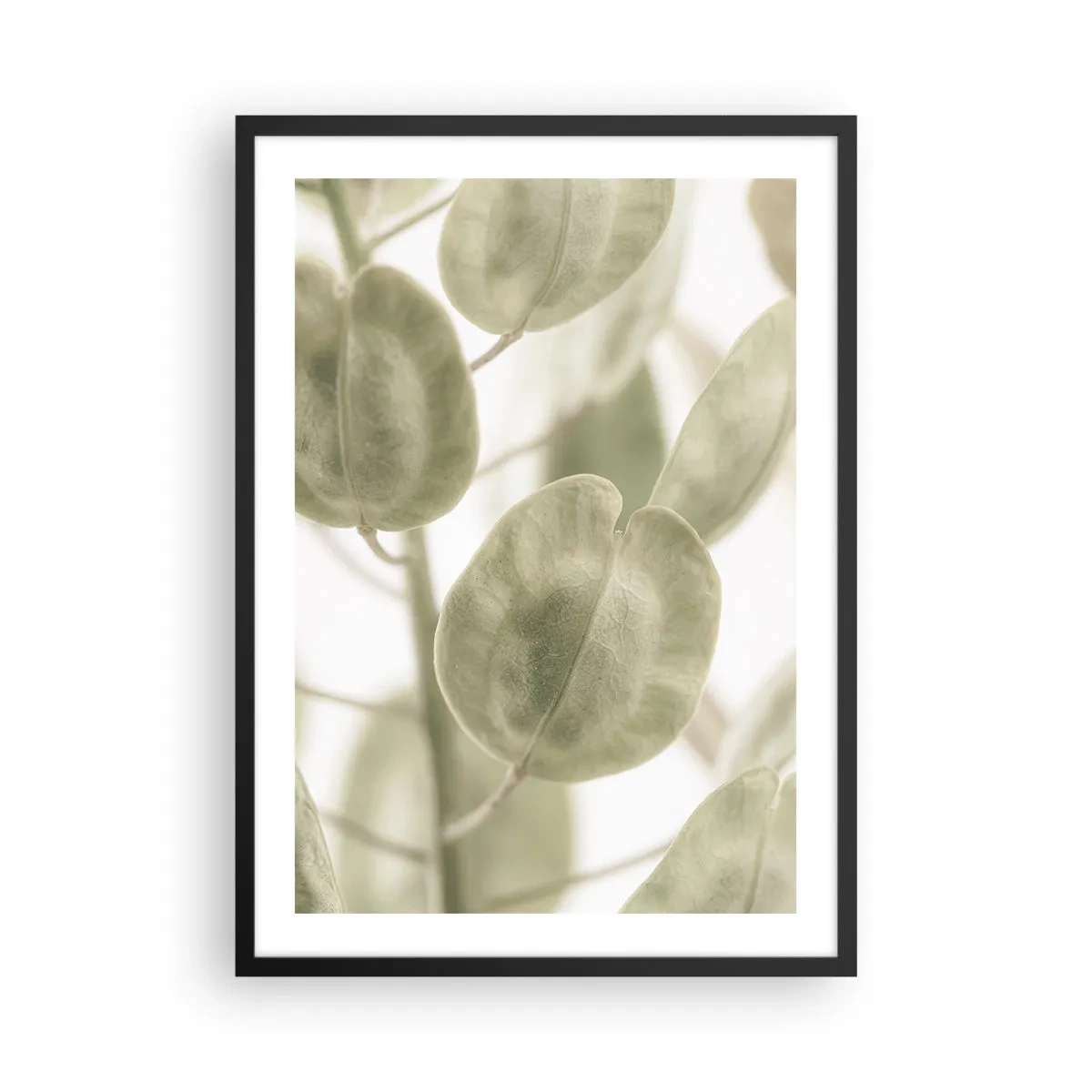 Affiche dans un cadre noir - Poster - Gros plan de feuilles vertes à la lumière naturelle - 50x70cm - Au commencement il y avait des feuilles... - Décoration murale moderne pour le salon et la chambre ARTTOR
