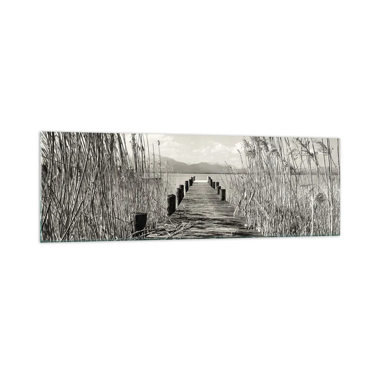 Impression sur verre - Image sur verre - Une jetée en bois parmi les hautes herbes au-dessus d'un lac aux tons sépia - 160x50cm - Dans le calme de l'herbe - Décoration murale moderne pour le salon et la chambre ARTTOR