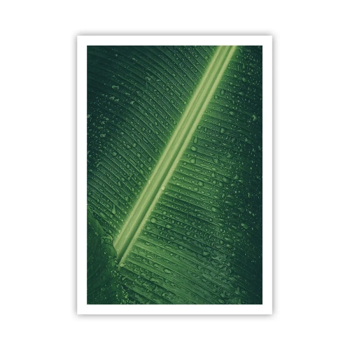 Affiche - Poster - Structure de vert - 70x100 cm