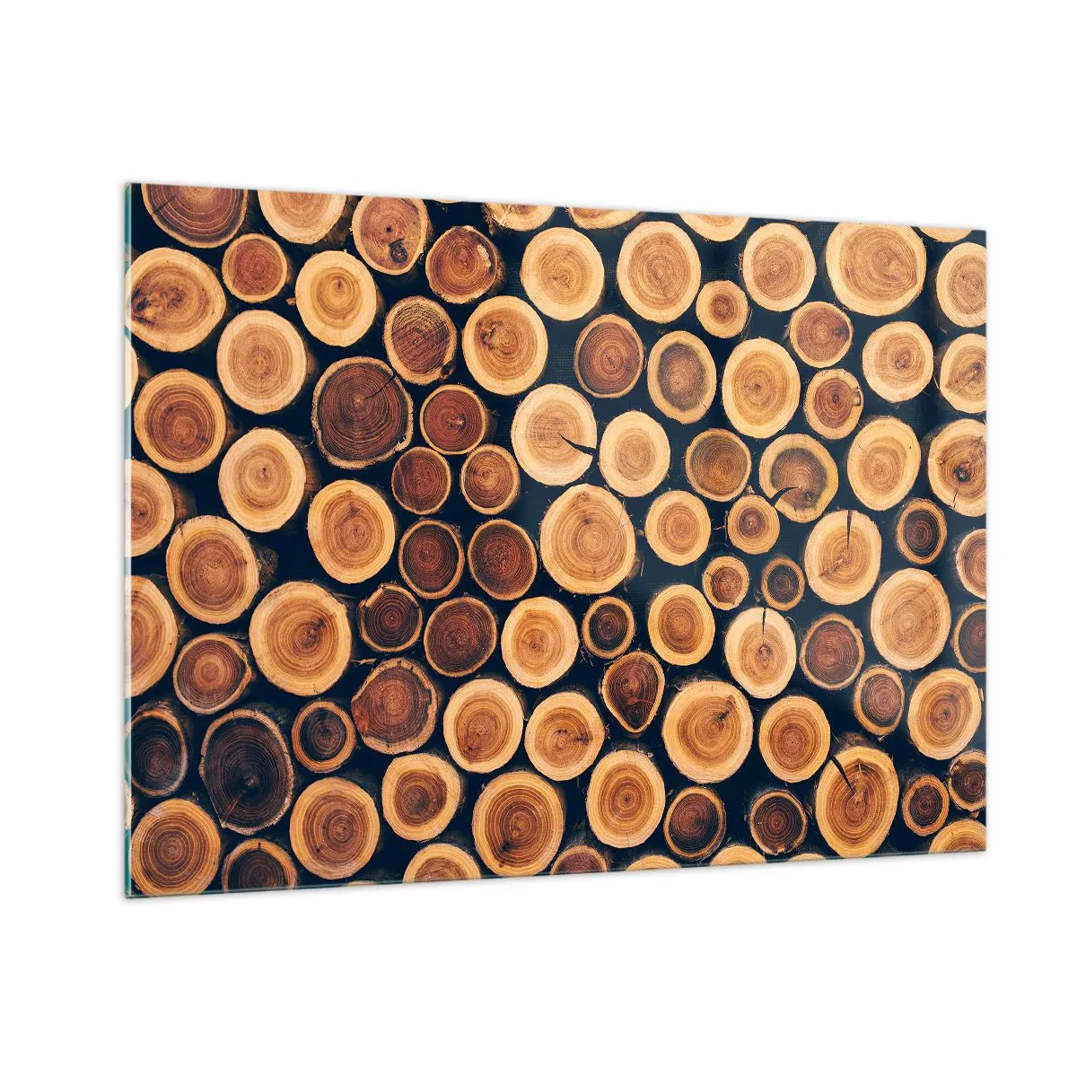 Impression sur verre - Image sur verre - Vue de troncs d'arbres coupés disposés en rangée - 100x70cm - Quel âge je semble avoir ? - Décoration murale moderne pour le salon et la chambre ARTTOR