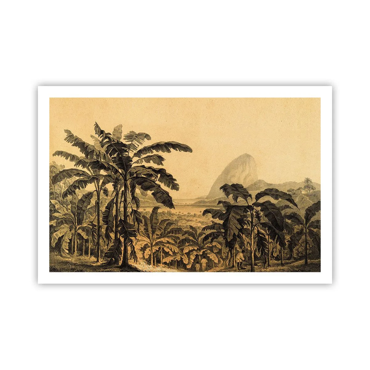 Affiche - Poster - Dans un climat colonial - 91x61 cm