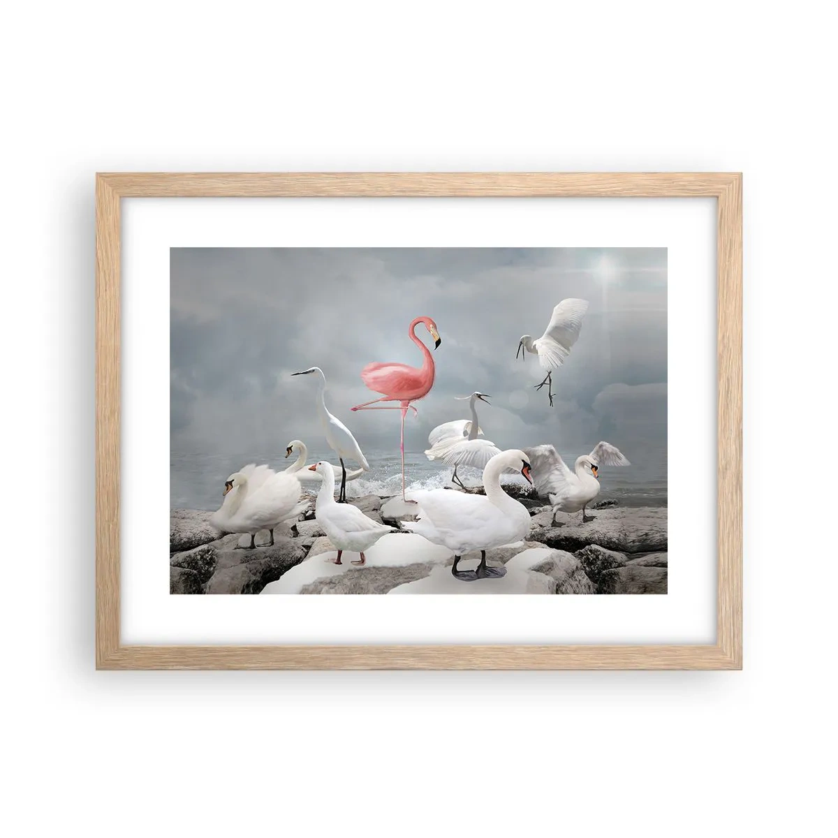 Affiche dans un chêne clair - Poster - Comment suis-je arrivé là? - 40x30 cm