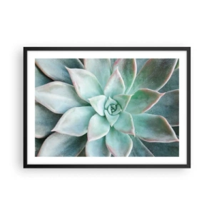 Affiche dans un cadre noir - Poster - Gros plan d'une succulente verte - 70x50cm - Le coeur du désert - Décoration murale moderne pour le salon et la chambre ARTTOR