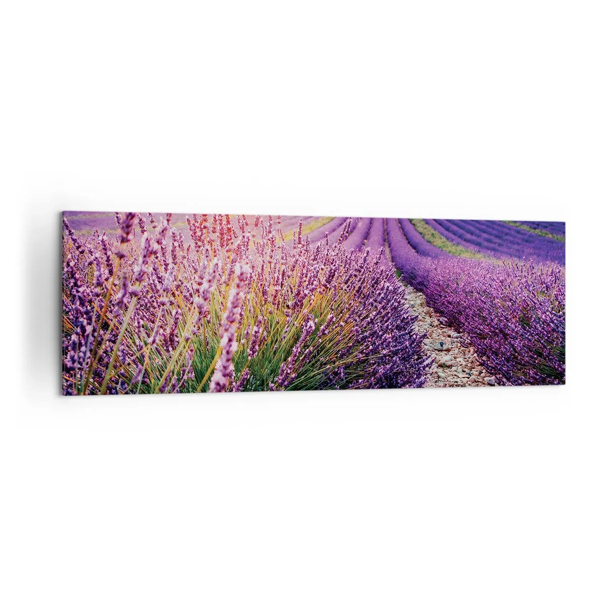 Impression sur toile - Image sur toile - Champ de lavande au coucher du soleil - 160x50cm - Tige parfumée - Décoration murale moderne pour le salon et la chambre ARTTOR