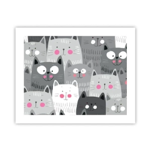 Affiche - Poster - Le monde des chats - 50x40 cm
