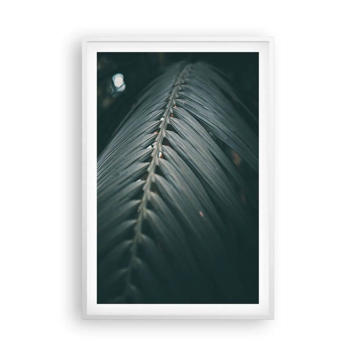 Affiche dans un cadre blanc - Poster - Précision de la nature - 61x91 cm