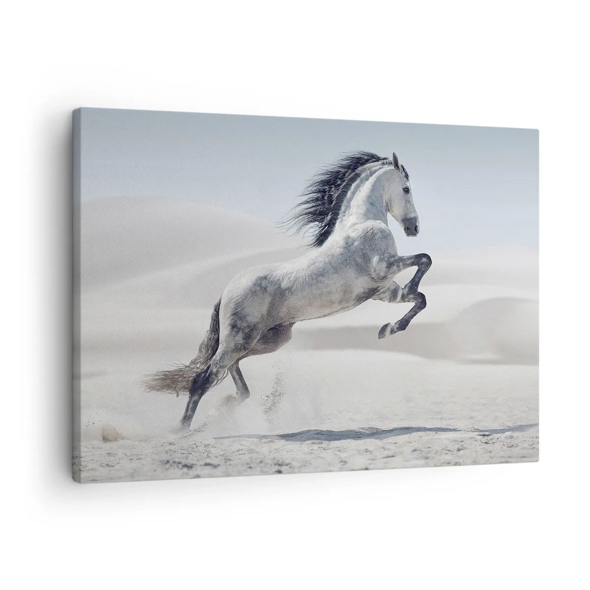 Impression sur toile - Image sur toile - Un cheval blanc galopant sur fond de dunes du désert - 70x50cm - Prince arabe - Décoration murale moderne pour le salon et la chambre ARTTOR