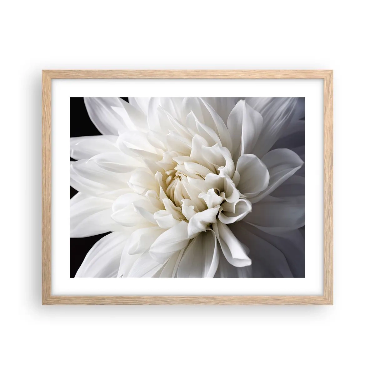 Affiche dans un chêne clair - Poster - Le matin de la jeune mariéé - 50x40 cm