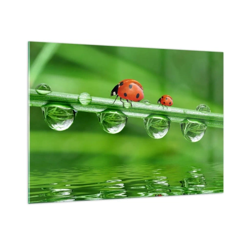Impression sur verre - Image sur verre - Coccinelles sur un brin d'herbe avec des gouttes de rosée et un reflet dans l'eau - 100x70cm - Sur la route tout l'été - Décoration murale moderne pour le salon et la chambre ARTTOR