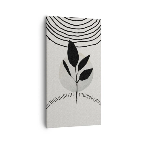 Impression sur toile - Image sur toile - Composition : rituels de la nature - 55x100 cm