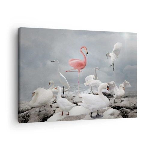 Impression sur toile - Image sur toile - Un flamant rose parmi des cygnes blancs sur fond de lac - 70x50cm - Comment suis-je arrivé là? - Décoration murale moderne pour le salon et la chambre ARTTOR