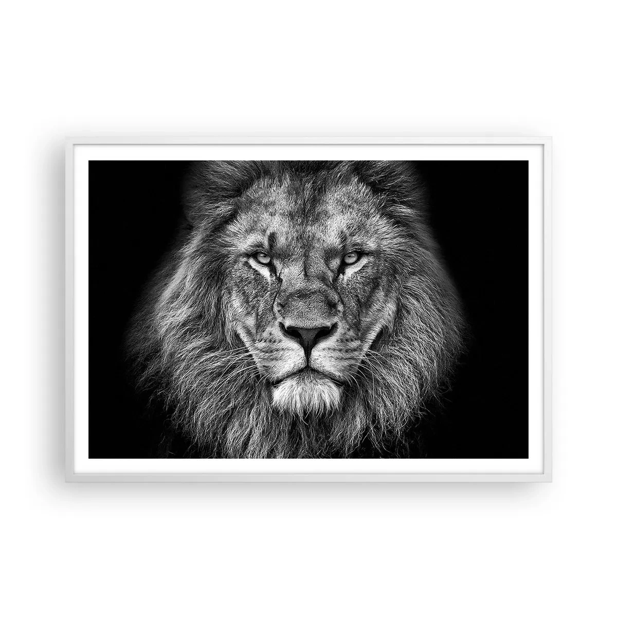 Affiche dans un cadre blanc - Poster - En vêtement de sacre - 100x70 cm