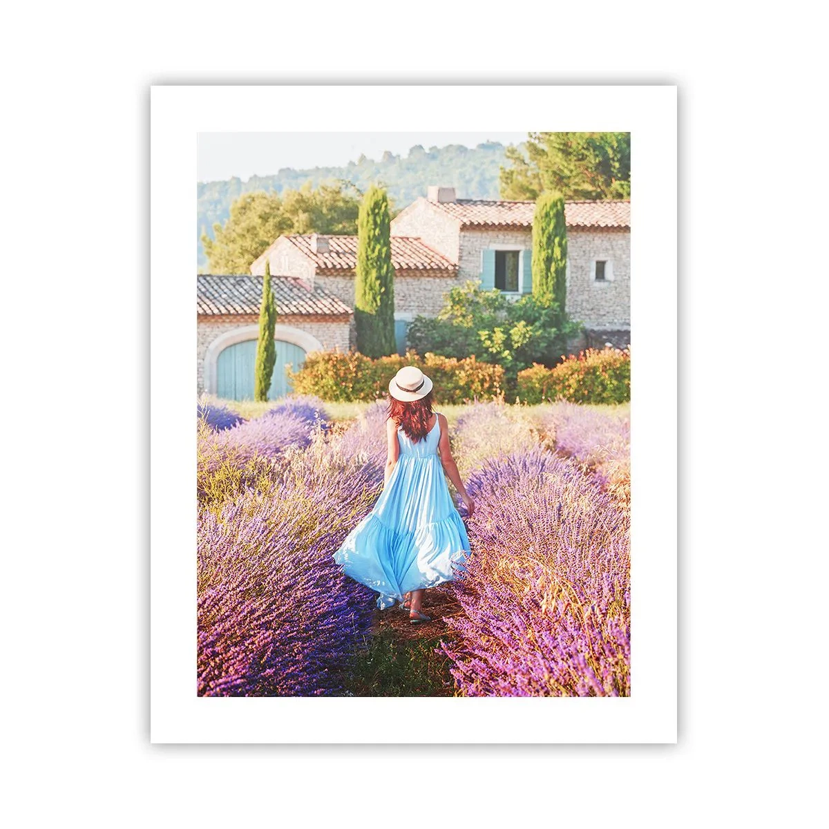 Affiche - Poster - Fille de la lavande - 40x50 cm