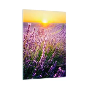 Impression sur verre - Image sur verre - Champ de lavande au coucher du soleil - 80x120cm - Tige parfumée - Décoration murale moderne pour le salon et la chambre ARTTOR