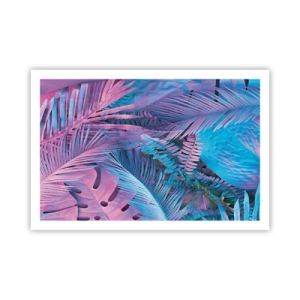 Affiche - Poster - Les tropiques en rose et bleu - 91x61 cm