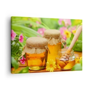 Impression sur toile - Image sur toile - Pots de miel avec des fleurs sur fond de jardin d'été - 70x50cm - Doux et fleuri - Décoration murale moderne pour le salon et la chambre ARTTOR