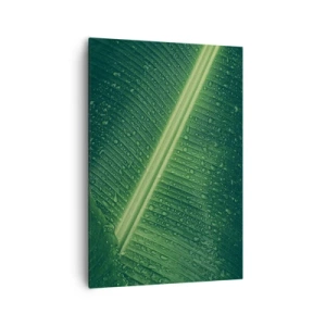 Impression sur toile - Image sur toile - Une feuille verte avec des gouttes d'eau à sa surface - 70x100cm - Structure de vert - Décoration murale moderne pour le salon et la chambre ARTTOR