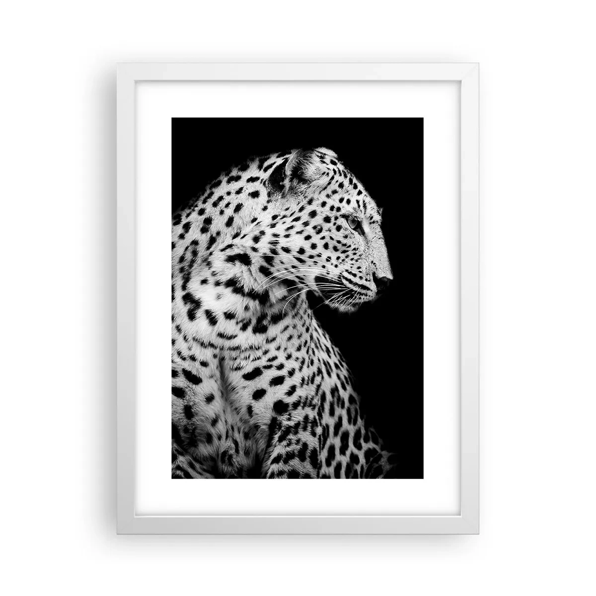 Affiche dans un cadre blanc - Poster - Presque un profil parfait! - 30x40 cm