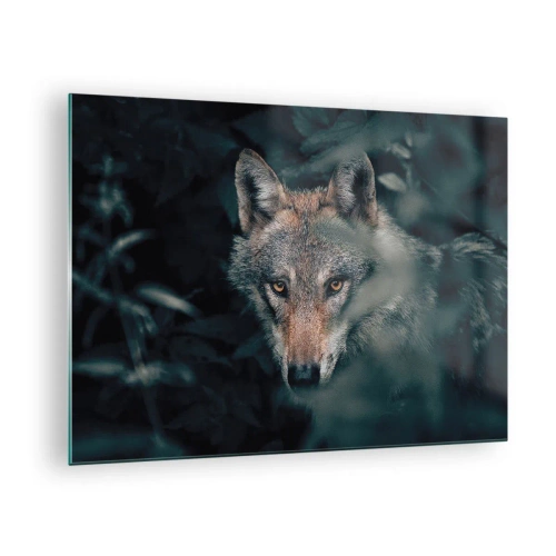Impression sur verre - Image sur verre - Un loup observant avec vigilance depuis sa cachette dans le fourré de la forêt - 70x50cm - Chasseur - Décoration murale moderne pour le salon et la chambre ARTTOR