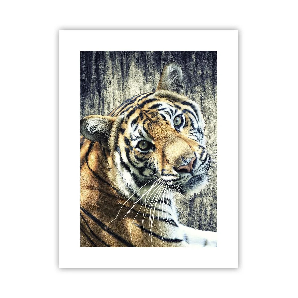 Affiche - Poster - Portrait dans les flots de lumière - 30x40 cm