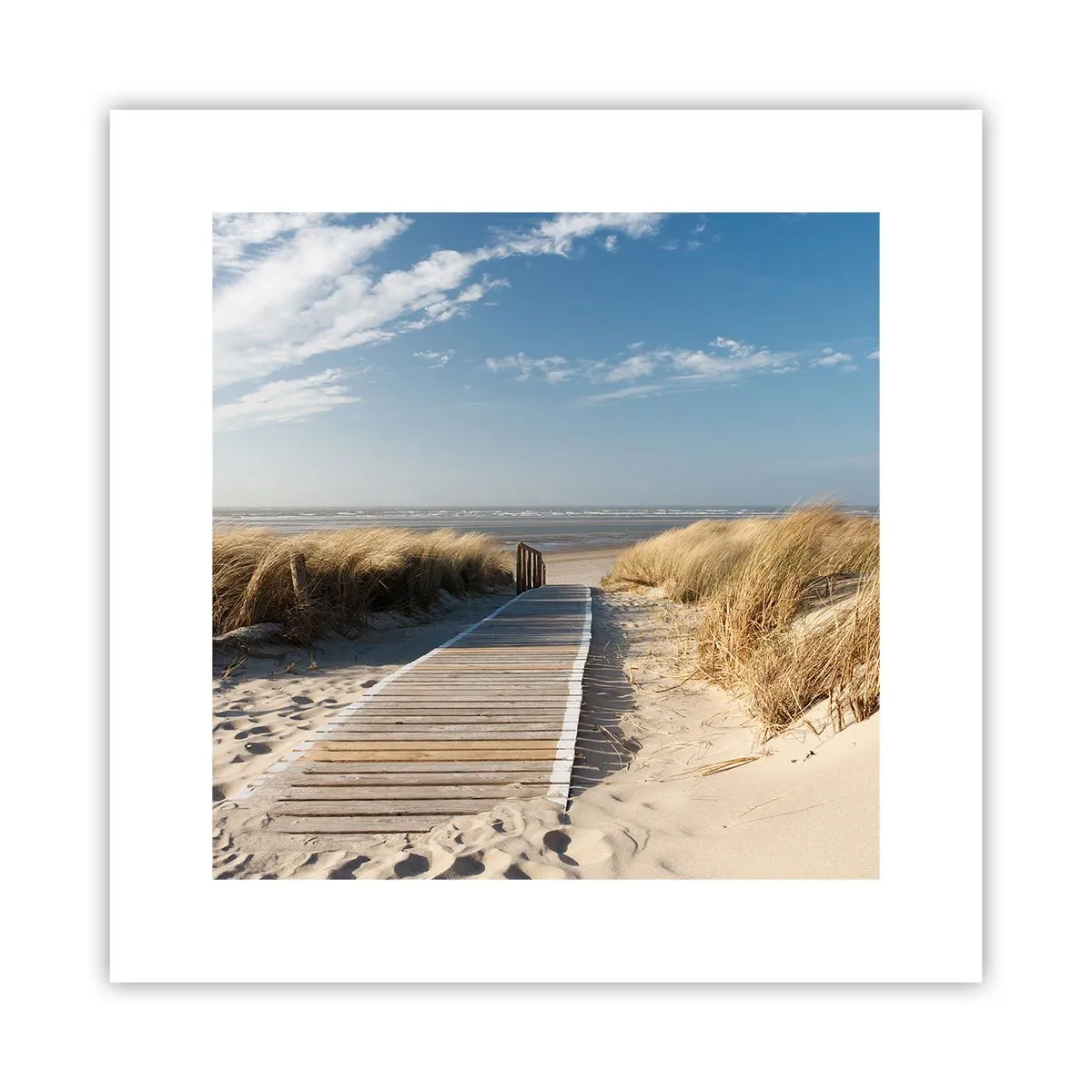 Affiche - Poster - Derrière la dune, dans le bruissement de l'herbe - 30x30 cm