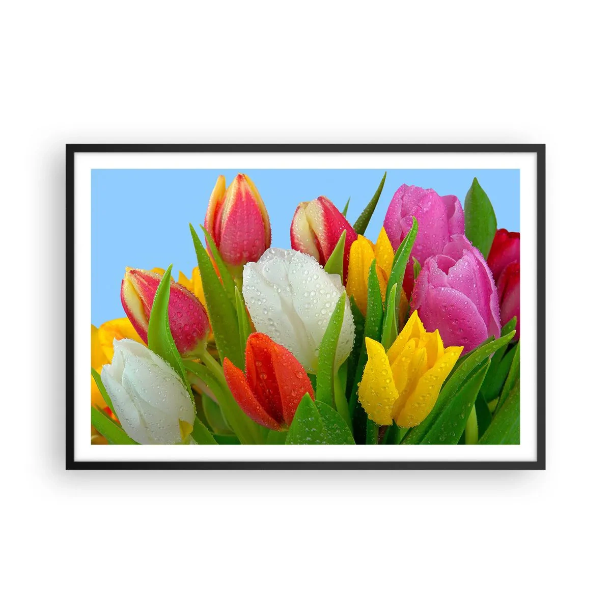 Affiche dans un cadre noir - Poster - Un arc-en-ciel fleuri en gouttes de rosée - 91x61 cm