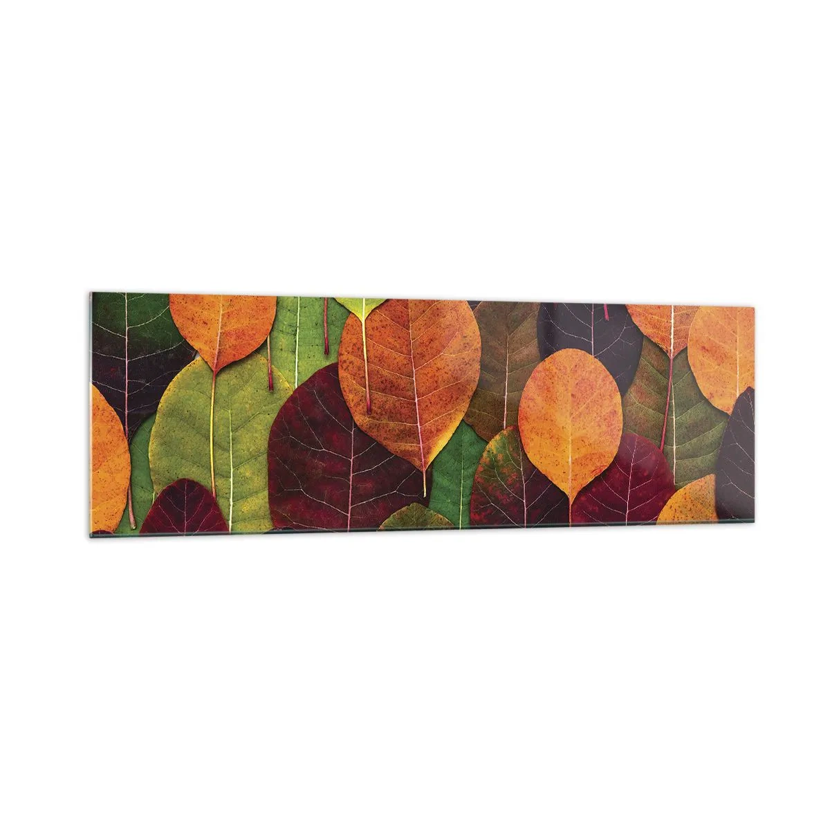 Impression sur verre - Image sur verre - Feuilles colorées disposées selon un motif d'automne - 160x50cm - Mozaique printannière - Décoration murale moderne pour le salon et la chambre ARTTOR