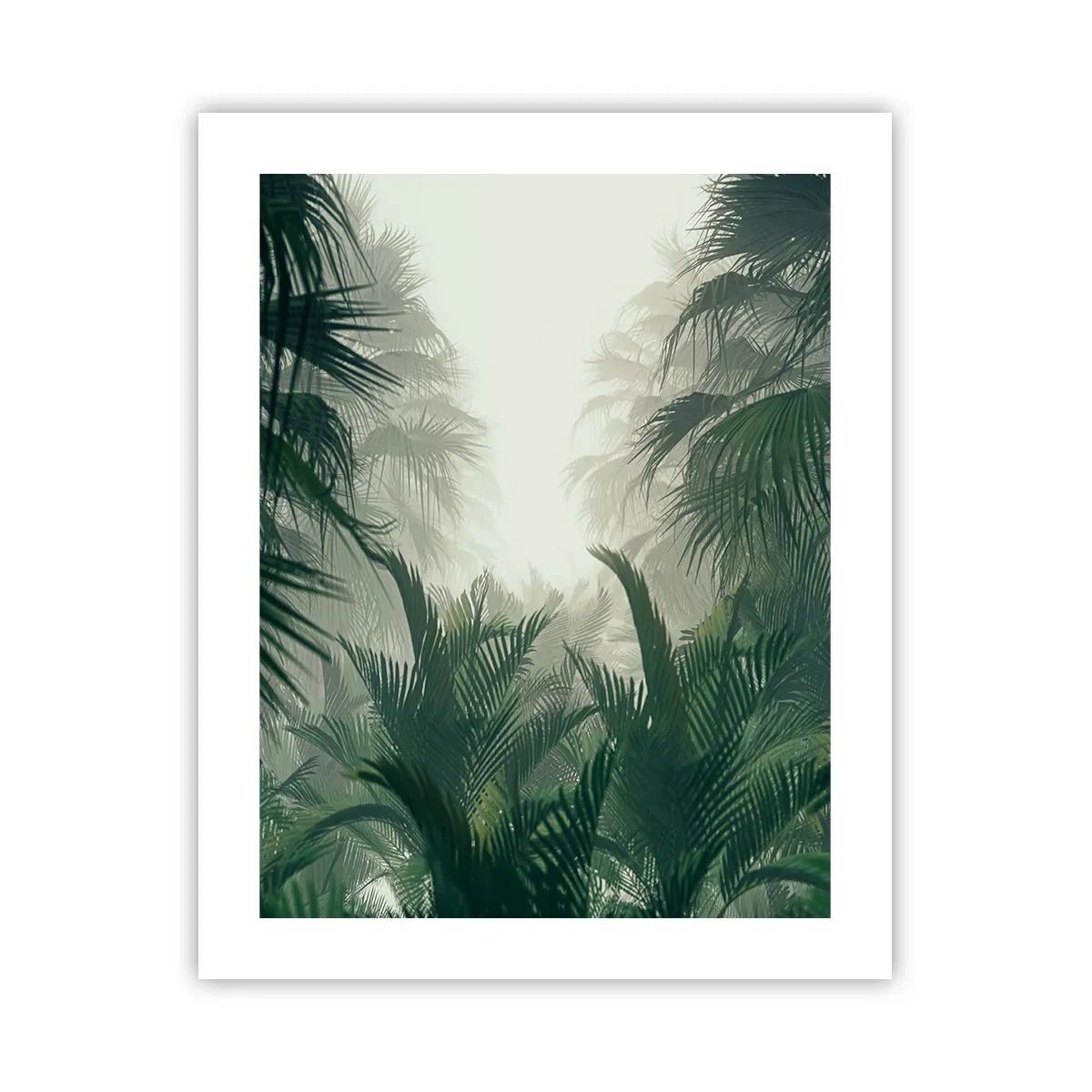 Affiche - Poster - Secret tropical - 40x50 cm