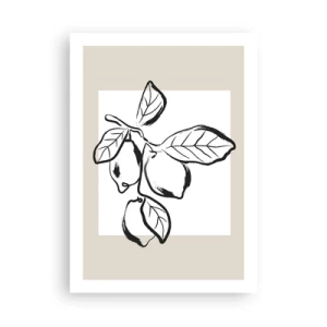 Affiche - Poster - Une illustration minimaliste d'une branche de citron dans un style noir et blanc. - 50x70cm - Où mûrit le citron… - Décoration murale moderne pour le salon et la chambre ARTTOR