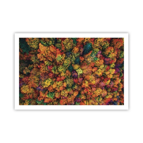 Affiche - Poster - Bouquet d'arbres automnal - 91x61 cm