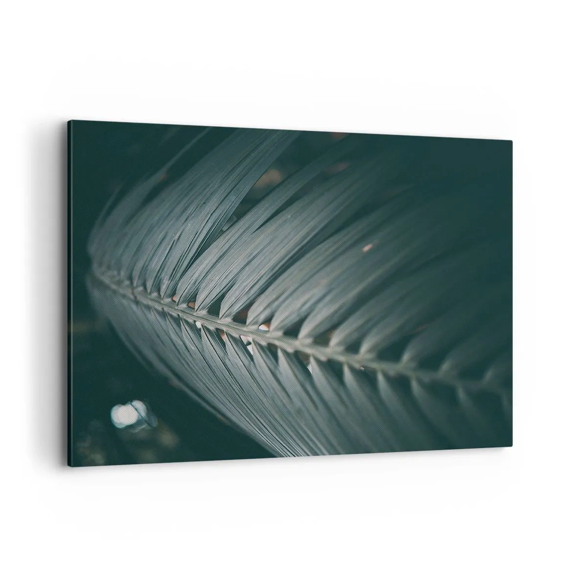 Impression sur toile - Image sur toile - Gros plan d'un détail de feuille de palmier aux tons sombres - 120x80cm - Précision de la nature - Décoration murale moderne pour le salon et la chambre ARTTOR