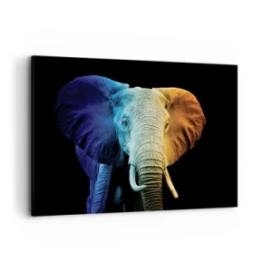 Impression sur toile - Image sur toile - Portrait d'éléphant aux couleurs de l'arc-en-ciel - 100x70cm - Excentrique, pas bizarre - Décoration murale moderne pour le salon et la chambre ARTTOR