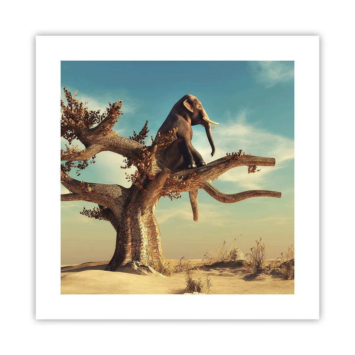 Affiche - Poster - Nouveau point de vue - 40x40 cm