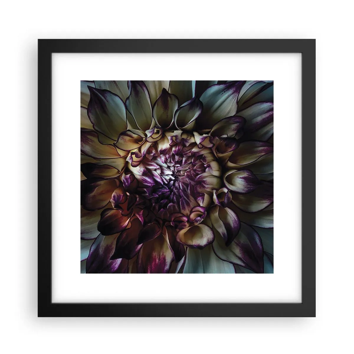 Affiche dans un cadre noir - Poster - L'apogée de la jeunesse - 30x30 cm