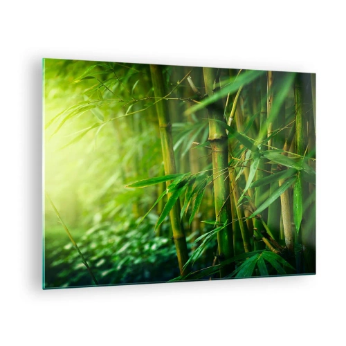 Impression sur verre - Image sur verre - Forêt de bambous verts au soleil - 70x50cm - Apprenez à connaître le vert lui-même - Décoration murale moderne pour le salon et la chambre ARTTOR